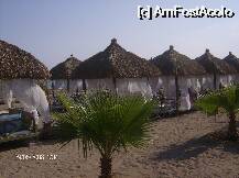 [P10]  -- <small>// FĂRĂ DESCRIERE</small> » foto by Lavi
 - 
<span class="allrVoted glyphicon glyphicon-heart hidden" id="av1855"></span>
<a class="m-l-10 hidden" id="sv1855" onclick="voting_Foto_DelVot(,1855,177)" role="button">șterge vot <span class="glyphicon glyphicon-remove"></span></a>
<a id="v91855" class=" c-red"  onclick="voting_Foto_SetVot(1855)" role="button"><span class="glyphicon glyphicon-heart-empty"></span> <b>LIKE</b> = Votează poza</a> <img class="hidden"  id="f1855W9" src="/imagini/loader.gif" border="0" /><span class="AjErrMes hidden" id="e1855ErM"></span>