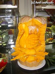 [P02]  -- <small>// FĂRĂ DESCRIERE</small> » foto by Lavi
 - 
<span class="allrVoted glyphicon glyphicon-heart hidden" id="av1847"></span>
<a class="m-l-10 hidden" id="sv1847" onclick="voting_Foto_DelVot(,1847,177)" role="button">șterge vot <span class="glyphicon glyphicon-remove"></span></a>
<a id="v91847" class=" c-red"  onclick="voting_Foto_SetVot(1847)" role="button"><span class="glyphicon glyphicon-heart-empty"></span> <b>LIKE</b> = Votează poza</a> <img class="hidden"  id="f1847W9" src="/imagini/loader.gif" border="0" /><span class="AjErrMes hidden" id="e1847ErM"></span>