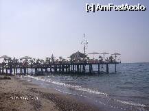 [P03]  -- <small>// FĂRĂ DESCRIERE</small> » foto by Lavi
 - 
<span class="allrVoted glyphicon glyphicon-heart hidden" id="av1848"></span>
<a class="m-l-10 hidden" id="sv1848" onclick="voting_Foto_DelVot(,1848,177)" role="button">șterge vot <span class="glyphicon glyphicon-remove"></span></a>
<a id="v91848" class=" c-red"  onclick="voting_Foto_SetVot(1848)" role="button"><span class="glyphicon glyphicon-heart-empty"></span> <b>LIKE</b> = Votează poza</a> <img class="hidden"  id="f1848W9" src="/imagini/loader.gif" border="0" /><span class="AjErrMes hidden" id="e1848ErM"></span>