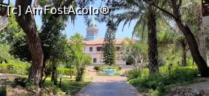 [P17] Pe alee în resort,multa verdeata » foto by OviAlex
 - 
<span class="allrVoted glyphicon glyphicon-heart hidden" id="av1376657"></span>
<a class="m-l-10 hidden" id="sv1376657" onclick="voting_Foto_DelVot(,1376657,181)" role="button">șterge vot <span class="glyphicon glyphicon-remove"></span></a>
<a id="v91376657" class=" c-red"  onclick="voting_Foto_SetVot(1376657)" role="button"><span class="glyphicon glyphicon-heart-empty"></span> <b>LIKE</b> = Votează poza</a> <img class="hidden"  id="f1376657W9" src="/imagini/loader.gif" border="0" /><span class="AjErrMes hidden" id="e1376657ErM"></span>