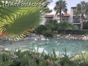 [P01] Rixos Premium Tekirova- gradina si helesteu cu flamingo???? » foto by AudreyJ
 - 
<span class="allrVoted glyphicon glyphicon-heart hidden" id="av1261620"></span>
<a class="m-l-10 hidden" id="sv1261620" onclick="voting_Foto_DelVot(,1261620,187)" role="button">șterge vot <span class="glyphicon glyphicon-remove"></span></a>
<a id="v91261620" class=" c-red"  onclick="voting_Foto_SetVot(1261620)" role="button"><span class="glyphicon glyphicon-heart-empty"></span> <b>LIKE</b> = Votează poza</a> <img class="hidden"  id="f1261620W9" src="/imagini/loader.gif" border="0" /><span class="AjErrMes hidden" id="e1261620ErM"></span>