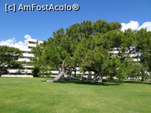 [P09] Rixos Premium Tekirova - prin resort » foto by nicole33
 - 
<span class="allrVoted glyphicon glyphicon-heart hidden" id="av1211553"></span>
<a class="m-l-10 hidden" id="sv1211553" onclick="voting_Foto_DelVot(,1211553,187)" role="button">șterge vot <span class="glyphicon glyphicon-remove"></span></a>
<a id="v91211553" class=" c-red"  onclick="voting_Foto_SetVot(1211553)" role="button"><span class="glyphicon glyphicon-heart-empty"></span> <b>LIKE</b> = Votează poza</a> <img class="hidden"  id="f1211553W9" src="/imagini/loader.gif" border="0" /><span class="AjErrMes hidden" id="e1211553ErM"></span>