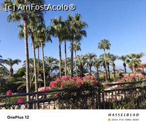 [P24]  -- <small>// FĂRĂ DESCRIERE</small> » foto by creivean
 - 
<span class="allrVoted glyphicon glyphicon-heart hidden" id="av1497524"></span>
<a class="m-l-10 hidden" id="sv1497524" onclick="voting_Foto_DelVot(,1497524,189)" role="button">șterge vot <span class="glyphicon glyphicon-remove"></span></a>
<a id="v91497524" class=" c-red"  onclick="voting_Foto_SetVot(1497524)" role="button"><span class="glyphicon glyphicon-heart-empty"></span> <b>LIKE</b> = Votează poza</a> <img class="hidden"  id="f1497524W9" src="/imagini/loader.gif" border="0" /><span class="AjErrMes hidden" id="e1497524ErM"></span>