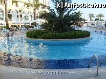 [P07]  -- <small>// FĂRĂ DESCRIERE</small> » foto by sator
 - 
<span class="allrVoted glyphicon glyphicon-heart hidden" id="av8290"></span>
<a class="m-l-10 hidden" id="sv8290" onclick="voting_Foto_DelVot(,8290,203)" role="button">șterge vot <span class="glyphicon glyphicon-remove"></span></a>
<a id="v98290" class=" c-red"  onclick="voting_Foto_SetVot(8290)" role="button"><span class="glyphicon glyphicon-heart-empty"></span> <b>LIKE</b> = Votează poza</a> <img class="hidden"  id="f8290W9" src="/imagini/loader.gif" border="0" /><span class="AjErrMes hidden" id="e8290ErM"></span>