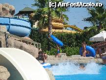 [P01] Copii la aqua park » foto by gabriel3108
 - 
<span class="allrVoted glyphicon glyphicon-heart hidden" id="av252197"></span>
<a class="m-l-10 hidden" id="sv252197" onclick="voting_Foto_DelVot(,252197,203)" role="button">șterge vot <span class="glyphicon glyphicon-remove"></span></a>
<a id="v9252197" class=" c-red"  onclick="voting_Foto_SetVot(252197)" role="button"><span class="glyphicon glyphicon-heart-empty"></span> <b>LIKE</b> = Votează poza</a> <img class="hidden"  id="f252197W9" src="/imagini/loader.gif" border="0" /><span class="AjErrMes hidden" id="e252197ErM"></span>