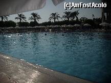 [P12] piscina principala » foto by Alexandra1*
 - 
<span class="allrVoted glyphicon glyphicon-heart hidden" id="av257155"></span>
<a class="m-l-10 hidden" id="sv257155" onclick="voting_Foto_DelVot(,257155,203)" role="button">șterge vot <span class="glyphicon glyphicon-remove"></span></a>
<a id="v9257155" class=" c-red"  onclick="voting_Foto_SetVot(257155)" role="button"><span class="glyphicon glyphicon-heart-empty"></span> <b>LIKE</b> = Votează poza</a> <img class="hidden"  id="f257155W9" src="/imagini/loader.gif" border="0" /><span class="AjErrMes hidden" id="e257155ErM"></span>