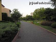 [P03]  -- <small>// FĂRĂ DESCRIERE</small> » foto by valutza86
 - 
<span class="allrVoted glyphicon glyphicon-heart hidden" id="av293503"></span>
<a class="m-l-10 hidden" id="sv293503" onclick="voting_Foto_DelVot(,293503,203)" role="button">șterge vot <span class="glyphicon glyphicon-remove"></span></a>
<a id="v9293503" class=" c-red"  onclick="voting_Foto_SetVot(293503)" role="button"><span class="glyphicon glyphicon-heart-empty"></span> <b>LIKE</b> = Votează poza</a> <img class="hidden"  id="f293503W9" src="/imagini/loader.gif" border="0" /><span class="AjErrMes hidden" id="e293503ErM"></span>