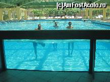 [P09] piscina interioara » foto by iancusabin
 - 
<span class="allrVoted glyphicon glyphicon-heart hidden" id="av419252"></span>
<a class="m-l-10 hidden" id="sv419252" onclick="voting_Foto_DelVot(,419252,203)" role="button">șterge vot <span class="glyphicon glyphicon-remove"></span></a>
<a id="v9419252" class=" c-red"  onclick="voting_Foto_SetVot(419252)" role="button"><span class="glyphicon glyphicon-heart-empty"></span> <b>LIKE</b> = Votează poza</a> <img class="hidden"  id="f419252W9" src="/imagini/loader.gif" border="0" /><span class="AjErrMes hidden" id="e419252ErM"></span>