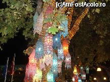 [P01] lampioane la Kusadasi » foto by irinuca*
 - 
<span class="allrVoted glyphicon glyphicon-heart hidden" id="av16653"></span>
<a class="m-l-10 hidden" id="sv16653" onclick="voting_Foto_DelVot(,16653,210)" role="button">șterge vot <span class="glyphicon glyphicon-remove"></span></a>
<a id="v916653" class=" c-red"  onclick="voting_Foto_SetVot(16653)" role="button"><span class="glyphicon glyphicon-heart-empty"></span> <b>LIKE</b> = Votează poza</a> <img class="hidden"  id="f16653W9" src="/imagini/loader.gif" border="0" /><span class="AjErrMes hidden" id="e16653ErM"></span>