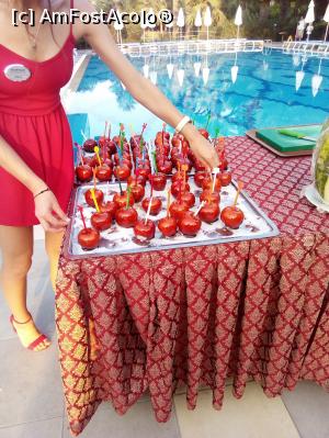 [P07] Pentru cei mici, in spatele mesei una dintre piscine!  » foto by viorance
 - 
<span class="allrVoted glyphicon glyphicon-heart hidden" id="av1106002"></span>
<a class="m-l-10 hidden" id="sv1106002" onclick="voting_Foto_DelVot(,1106002,210)" role="button">șterge vot <span class="glyphicon glyphicon-remove"></span></a>
<a id="v91106002" class=" c-red"  onclick="voting_Foto_SetVot(1106002)" role="button"><span class="glyphicon glyphicon-heart-empty"></span> <b>LIKE</b> = Votează poza</a> <img class="hidden"  id="f1106002W9" src="/imagini/loader.gif" border="0" /><span class="AjErrMes hidden" id="e1106002ErM"></span>