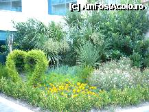 [P07] Verdeata este inca in crestere,hotelul fiind unul nou,deschis in 2007. » foto by Cappuccinoo*
 - 
<span class="allrVoted glyphicon glyphicon-heart hidden" id="av221156"></span>
<a class="m-l-10 hidden" id="sv221156" onclick="voting_Foto_DelVot(,221156,215)" role="button">șterge vot <span class="glyphicon glyphicon-remove"></span></a>
<a id="v9221156" class=" c-red"  onclick="voting_Foto_SetVot(221156)" role="button"><span class="glyphicon glyphicon-heart-empty"></span> <b>LIKE</b> = Votează poza</a> <img class="hidden"  id="f221156W9" src="/imagini/loader.gif" border="0" /><span class="AjErrMes hidden" id="e221156ErM"></span>