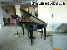 [P08] Pianul din Lobby. » foto by Cappuccinoo*
 - 
<span class="allrVoted glyphicon glyphicon-heart hidden" id="av221157"></span>
<a class="m-l-10 hidden" id="sv221157" onclick="voting_Foto_DelVot(,221157,215)" role="button">șterge vot <span class="glyphicon glyphicon-remove"></span></a>
<a id="v9221157" class=" c-red"  onclick="voting_Foto_SetVot(221157)" role="button"><span class="glyphicon glyphicon-heart-empty"></span> <b>LIKE</b> = Votează poza</a> <img class="hidden"  id="f221157W9" src="/imagini/loader.gif" border="0" /><span class="AjErrMes hidden" id="e221157ErM"></span>