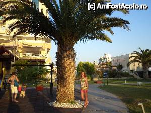 [P28] gradina hotel ephesia » foto by beberadutoiu*
 - 
<span class="allrVoted glyphicon glyphicon-heart hidden" id="av403399"></span>
<a class="m-l-10 hidden" id="sv403399" onclick="voting_Foto_DelVot(,403399,217)" role="button">șterge vot <span class="glyphicon glyphicon-remove"></span></a>
<a id="v9403399" class=" c-red"  onclick="voting_Foto_SetVot(403399)" role="button"><span class="glyphicon glyphicon-heart-empty"></span> <b>LIKE</b> = Votează poza</a> <img class="hidden"  id="f403399W9" src="/imagini/loader.gif" border="0" /><span class="AjErrMes hidden" id="e403399ErM"></span>