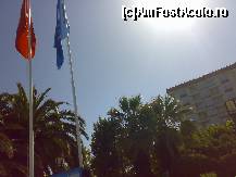 [P04] Blue flag. » foto by nnaaee
 - 
<span class="allrVoted glyphicon glyphicon-heart hidden" id="av58921"></span>
<a class="m-l-10 hidden" id="sv58921" onclick="voting_Foto_DelVot(,58921,217)" role="button">șterge vot <span class="glyphicon glyphicon-remove"></span></a>
<a id="v958921" class=" c-red"  onclick="voting_Foto_SetVot(58921)" role="button"><span class="glyphicon glyphicon-heart-empty"></span> <b>LIKE</b> = Votează poza</a> <img class="hidden"  id="f58921W9" src="/imagini/loader.gif" border="0" /><span class="AjErrMes hidden" id="e58921ErM"></span>