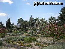 [P09] gradina de la pamukale » foto by gabri
 - 
<span class="allrVoted glyphicon glyphicon-heart hidden" id="av113856"></span>
<a class="m-l-10 hidden" id="sv113856" onclick="voting_Foto_DelVot(,113856,217)" role="button">șterge vot <span class="glyphicon glyphicon-remove"></span></a>
<a id="v9113856" class=" c-red"  onclick="voting_Foto_SetVot(113856)" role="button"><span class="glyphicon glyphicon-heart-empty"></span> <b>LIKE</b> = Votează poza</a> <img class="hidden"  id="f113856W9" src="/imagini/loader.gif" border="0" /><span class="AjErrMes hidden" id="e113856ErM"></span>