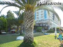 [P04] Hotelul vazut din gradina » foto by corinutza
 - 
<span class="allrVoted glyphicon glyphicon-heart hidden" id="av254216"></span>
<a class="m-l-10 hidden" id="sv254216" onclick="voting_Foto_DelVot(,254216,217)" role="button">șterge vot <span class="glyphicon glyphicon-remove"></span></a>
<a id="v9254216" class=" c-red"  onclick="voting_Foto_SetVot(254216)" role="button"><span class="glyphicon glyphicon-heart-empty"></span> <b>LIKE</b> = Votează poza</a> <img class="hidden"  id="f254216W9" src="/imagini/loader.gif" border="0" /><span class="AjErrMes hidden" id="e254216ErM"></span>