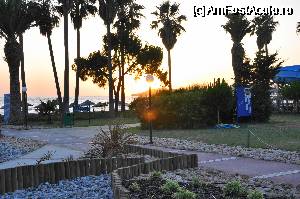 [P06]  -- <small>// FĂRĂ DESCRIERE</small> » foto by johnblake
 - 
<span class="allrVoted glyphicon glyphicon-heart hidden" id="av340165"></span>
<a class="m-l-10 hidden" id="sv340165" onclick="voting_Foto_DelVot(,340165,218)" role="button">șterge vot <span class="glyphicon glyphicon-remove"></span></a>
<a id="v9340165" class=" c-red"  onclick="voting_Foto_SetVot(340165)" role="button"><span class="glyphicon glyphicon-heart-empty"></span> <b>LIKE</b> = Votează poza</a> <img class="hidden"  id="f340165W9" src="/imagini/loader.gif" border="0" /><span class="AjErrMes hidden" id="e340165ErM"></span>