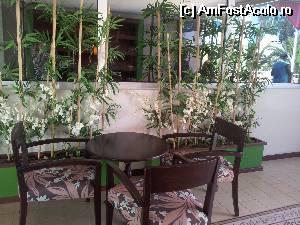 [P11]  -- <small>// FĂRĂ DESCRIERE</small> » foto by ROMY
 - 
<span class="allrVoted glyphicon glyphicon-heart hidden" id="av529697"></span>
<a class="m-l-10 hidden" id="sv529697" onclick="voting_Foto_DelVot(,529697,218)" role="button">șterge vot <span class="glyphicon glyphicon-remove"></span></a>
<a id="v9529697" class=" c-red"  onclick="voting_Foto_SetVot(529697)" role="button"><span class="glyphicon glyphicon-heart-empty"></span> <b>LIKE</b> = Votează poza</a> <img class="hidden"  id="f529697W9" src="/imagini/loader.gif" border="0" /><span class="AjErrMes hidden" id="e529697ErM"></span>