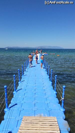 [P27]  -- <small>// FĂRĂ DESCRIERE</small> » foto by ROMY
 - 
<span class="allrVoted glyphicon glyphicon-heart hidden" id="av529713"></span>
<a class="m-l-10 hidden" id="sv529713" onclick="voting_Foto_DelVot(,529713,218)" role="button">șterge vot <span class="glyphicon glyphicon-remove"></span></a>
<a id="v9529713" class=" c-red"  onclick="voting_Foto_SetVot(529713)" role="button"><span class="glyphicon glyphicon-heart-empty"></span> <b>LIKE</b> = Votează poza</a> <img class="hidden"  id="f529713W9" src="/imagini/loader.gif" border="0" /><span class="AjErrMes hidden" id="e529713ErM"></span>