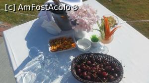 [P10]  -- <small>// FĂRĂ DESCRIERE</small> » foto by ROMY
 - 
<span class="allrVoted glyphicon glyphicon-heart hidden" id="av978617"></span>
<a class="m-l-10 hidden" id="sv978617" onclick="voting_Foto_DelVot(,978617,218)" role="button">șterge vot <span class="glyphicon glyphicon-remove"></span></a>
<a id="v9978617" class=" c-red"  onclick="voting_Foto_SetVot(978617)" role="button"><span class="glyphicon glyphicon-heart-empty"></span> <b>LIKE</b> = Votează poza</a> <img class="hidden"  id="f978617W9" src="/imagini/loader.gif" border="0" /><span class="AjErrMes hidden" id="e978617ErM"></span>