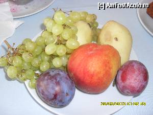 [P180]  -- <small>// FĂRĂ DESCRIERE</small> » foto by adryana
 - 
<span class="allrVoted glyphicon glyphicon-heart hidden" id="av371056"></span>
<a class="m-l-10 hidden" id="sv371056" onclick="voting_Foto_DelVot(,371056,218)" role="button">șterge vot <span class="glyphicon glyphicon-remove"></span></a>
<a id="v9371056" class=" c-red"  onclick="voting_Foto_SetVot(371056)" role="button"><span class="glyphicon glyphicon-heart-empty"></span> <b>LIKE</b> = Votează poza</a> <img class="hidden"  id="f371056W9" src="/imagini/loader.gif" border="0" /><span class="AjErrMes hidden" id="e371056ErM"></span>