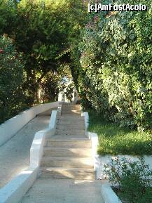 [P53] Drumul de acces de la snack bar la piscina » foto by Aeerdna*
 - 
<span class="allrVoted glyphicon glyphicon-heart hidden" id="av145390"></span>
<a class="m-l-10 hidden" id="sv145390" onclick="voting_Foto_DelVot(,145390,220)" role="button">șterge vot <span class="glyphicon glyphicon-remove"></span></a>
<a id="v9145390" class=" c-red"  onclick="voting_Foto_SetVot(145390)" role="button"><span class="glyphicon glyphicon-heart-empty"></span> <b>LIKE</b> = Votează poza</a> <img class="hidden"  id="f145390W9" src="/imagini/loader.gif" border="0" /><span class="AjErrMes hidden" id="e145390ErM"></span>