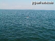 [P54] Scufundare in largul golfului Kusadasi » foto by Aeerdna*
 - 
<span class="allrVoted glyphicon glyphicon-heart hidden" id="av145391"></span>
<a class="m-l-10 hidden" id="sv145391" onclick="voting_Foto_DelVot(,145391,220)" role="button">șterge vot <span class="glyphicon glyphicon-remove"></span></a>
<a id="v9145391" class=" c-red"  onclick="voting_Foto_SetVot(145391)" role="button"><span class="glyphicon glyphicon-heart-empty"></span> <b>LIKE</b> = Votează poza</a> <img class="hidden"  id="f145391W9" src="/imagini/loader.gif" border="0" /><span class="AjErrMes hidden" id="e145391ErM"></span>