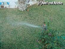 [P71] Caldura este mare! gazonul este udat seara si dimineata » foto by Aeerdna*
 - 
<span class="allrVoted glyphicon glyphicon-heart hidden" id="av145421"></span>
<a class="m-l-10 hidden" id="sv145421" onclick="voting_Foto_DelVot(,145421,220)" role="button">șterge vot <span class="glyphicon glyphicon-remove"></span></a>
<a id="v9145421" class=" c-red"  onclick="voting_Foto_SetVot(145421)" role="button"><span class="glyphicon glyphicon-heart-empty"></span> <b>LIKE</b> = Votează poza</a> <img class="hidden"  id="f145421W9" src="/imagini/loader.gif" border="0" /><span class="AjErrMes hidden" id="e145421ErM"></span>