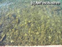 [P16] Fundul apei la cheu. » foto by Gromm
 - 
<span class="allrVoted glyphicon glyphicon-heart hidden" id="av298735"></span>
<a class="m-l-10 hidden" id="sv298735" onclick="voting_Foto_DelVot(,298735,220)" role="button">șterge vot <span class="glyphicon glyphicon-remove"></span></a>
<a id="v9298735" class=" c-red"  onclick="voting_Foto_SetVot(298735)" role="button"><span class="glyphicon glyphicon-heart-empty"></span> <b>LIKE</b> = Votează poza</a> <img class="hidden"  id="f298735W9" src="/imagini/loader.gif" border="0" /><span class="AjErrMes hidden" id="e298735ErM"></span>