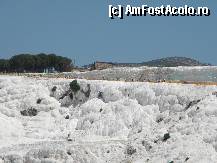 [P31]  -- <small>// FĂRĂ DESCRIERE</small> » foto by Gromm
 - 
<span class="allrVoted glyphicon glyphicon-heart hidden" id="av298753"></span>
<a class="m-l-10 hidden" id="sv298753" onclick="voting_Foto_DelVot(,298753,220)" role="button">șterge vot <span class="glyphicon glyphicon-remove"></span></a>
<a id="v9298753" class=" c-red"  onclick="voting_Foto_SetVot(298753)" role="button"><span class="glyphicon glyphicon-heart-empty"></span> <b>LIKE</b> = Votează poza</a> <img class="hidden"  id="f298753W9" src="/imagini/loader.gif" border="0" /><span class="AjErrMes hidden" id="e298753ErM"></span>