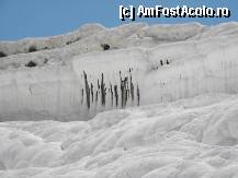 [P33]  -- <small>// FĂRĂ DESCRIERE</small> » foto by Gromm
 - 
<span class="allrVoted glyphicon glyphicon-heart hidden" id="av298755"></span>
<a class="m-l-10 hidden" id="sv298755" onclick="voting_Foto_DelVot(,298755,220)" role="button">șterge vot <span class="glyphicon glyphicon-remove"></span></a>
<a id="v9298755" class=" c-red"  onclick="voting_Foto_SetVot(298755)" role="button"><span class="glyphicon glyphicon-heart-empty"></span> <b>LIKE</b> = Votează poza</a> <img class="hidden"  id="f298755W9" src="/imagini/loader.gif" border="0" /><span class="AjErrMes hidden" id="e298755ErM"></span>