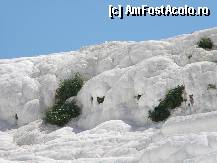 [P34]  -- <small>// FĂRĂ DESCRIERE</small> » foto by Gromm
 - 
<span class="allrVoted glyphicon glyphicon-heart hidden" id="av298756"></span>
<a class="m-l-10 hidden" id="sv298756" onclick="voting_Foto_DelVot(,298756,220)" role="button">șterge vot <span class="glyphicon glyphicon-remove"></span></a>
<a id="v9298756" class=" c-red"  onclick="voting_Foto_SetVot(298756)" role="button"><span class="glyphicon glyphicon-heart-empty"></span> <b>LIKE</b> = Votează poza</a> <img class="hidden"  id="f298756W9" src="/imagini/loader.gif" border="0" /><span class="AjErrMes hidden" id="e298756ErM"></span>