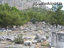 [P41] Latura fortificata natural. » foto by Gromm
 - 
<span class="allrVoted glyphicon glyphicon-heart hidden" id="av298763"></span>
<a class="m-l-10 hidden" id="sv298763" onclick="voting_Foto_DelVot(,298763,220)" role="button">șterge vot <span class="glyphicon glyphicon-remove"></span></a>
<a id="v9298763" class=" c-red"  onclick="voting_Foto_SetVot(298763)" role="button"><span class="glyphicon glyphicon-heart-empty"></span> <b>LIKE</b> = Votează poza</a> <img class="hidden"  id="f298763W9" src="/imagini/loader.gif" border="0" /><span class="AjErrMes hidden" id="e298763ErM"></span>