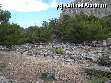 [P42]  -- <small>// FĂRĂ DESCRIERE</small> » foto by Gromm
 - 
<span class="allrVoted glyphicon glyphicon-heart hidden" id="av298764"></span>
<a class="m-l-10 hidden" id="sv298764" onclick="voting_Foto_DelVot(,298764,220)" role="button">șterge vot <span class="glyphicon glyphicon-remove"></span></a>
<a id="v9298764" class=" c-red"  onclick="voting_Foto_SetVot(298764)" role="button"><span class="glyphicon glyphicon-heart-empty"></span> <b>LIKE</b> = Votează poza</a> <img class="hidden"  id="f298764W9" src="/imagini/loader.gif" border="0" /><span class="AjErrMes hidden" id="e298764ErM"></span>