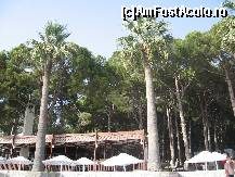 [P06] Vedere asupra hotelului din apa. » foto by need_alex*
 - 
<span class="allrVoted glyphicon glyphicon-heart hidden" id="av43465"></span>
<a class="m-l-10 hidden" id="sv43465" onclick="voting_Foto_DelVot(,43465,223)" role="button">șterge vot <span class="glyphicon glyphicon-remove"></span></a>
<a id="v943465" class=" c-red"  onclick="voting_Foto_SetVot(43465)" role="button"><span class="glyphicon glyphicon-heart-empty"></span> <b>LIKE</b> = Votează poza</a> <img class="hidden"  id="f43465W9" src="/imagini/loader.gif" border="0" /><span class="AjErrMes hidden" id="e43465ErM"></span>