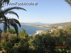 [P15] multa verdeata » foto by nrs †
 - 
<span class="allrVoted glyphicon glyphicon-heart hidden" id="av904254"></span>
<a class="m-l-10 hidden" id="sv904254" onclick="voting_Foto_DelVot(,904254,224)" role="button">șterge vot <span class="glyphicon glyphicon-remove"></span></a>
<a id="v9904254" class=" c-red"  onclick="voting_Foto_SetVot(904254)" role="button"><span class="glyphicon glyphicon-heart-empty"></span> <b>LIKE</b> = Votează poza</a> <img class="hidden"  id="f904254W9" src="/imagini/loader.gif" border="0" /><span class="AjErrMes hidden" id="e904254ErM"></span>