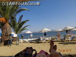 [P19]  -- <small>// FĂRĂ DESCRIERE</small> » foto by nrs †
 - 
<span class="allrVoted glyphicon glyphicon-heart hidden" id="av904263"></span>
<a class="m-l-10 hidden" id="sv904263" onclick="voting_Foto_DelVot(,904263,224)" role="button">șterge vot <span class="glyphicon glyphicon-remove"></span></a>
<a id="v9904263" class=" c-red"  onclick="voting_Foto_SetVot(904263)" role="button"><span class="glyphicon glyphicon-heart-empty"></span> <b>LIKE</b> = Votează poza</a> <img class="hidden"  id="f904263W9" src="/imagini/loader.gif" border="0" /><span class="AjErrMes hidden" id="e904263ErM"></span>