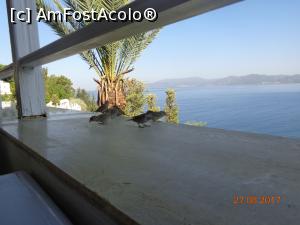 [P30] la micul dejun nu eram singuri niciodata » foto by nrs †
 - 
<span class="allrVoted glyphicon glyphicon-heart hidden" id="av904283"></span>
<a class="m-l-10 hidden" id="sv904283" onclick="voting_Foto_DelVot(,904283,224)" role="button">șterge vot <span class="glyphicon glyphicon-remove"></span></a>
<a id="v9904283" class=" c-red"  onclick="voting_Foto_SetVot(904283)" role="button"><span class="glyphicon glyphicon-heart-empty"></span> <b>LIKE</b> = Votează poza</a> <img class="hidden"  id="f904283W9" src="/imagini/loader.gif" border="0" /><span class="AjErrMes hidden" id="e904283ErM"></span>