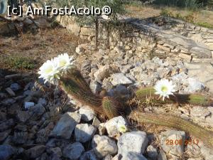 [P35] si nu unu!  » foto by nrs †
 - 
<span class="allrVoted glyphicon glyphicon-heart hidden" id="av904291"></span>
<a class="m-l-10 hidden" id="sv904291" onclick="voting_Foto_DelVot(,904291,224)" role="button">șterge vot <span class="glyphicon glyphicon-remove"></span></a>
<a id="v9904291" class=" c-red"  onclick="voting_Foto_SetVot(904291)" role="button"><span class="glyphicon glyphicon-heart-empty"></span> <b>LIKE</b> = Votează poza</a> <img class="hidden"  id="f904291W9" src="/imagini/loader.gif" border="0" /><span class="AjErrMes hidden" id="e904291ErM"></span>