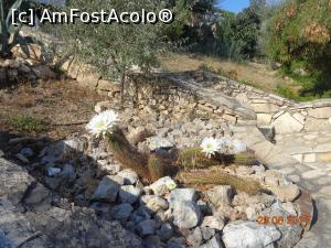 [P37] pacat ca florile tin numai o zi » foto by nrs †
 - 
<span class="allrVoted glyphicon glyphicon-heart hidden" id="av904294"></span>
<a class="m-l-10 hidden" id="sv904294" onclick="voting_Foto_DelVot(,904294,224)" role="button">șterge vot <span class="glyphicon glyphicon-remove"></span></a>
<a id="v9904294" class=" c-red"  onclick="voting_Foto_SetVot(904294)" role="button"><span class="glyphicon glyphicon-heart-empty"></span> <b>LIKE</b> = Votează poza</a> <img class="hidden"  id="f904294W9" src="/imagini/loader.gif" border="0" /><span class="AjErrMes hidden" id="e904294ErM"></span>