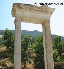 [P31]  -- <small>// FĂRĂ DESCRIERE</small> » foto by ioana22
 - 
<span class="allrVoted glyphicon glyphicon-heart hidden" id="av73621"></span>
<a class="m-l-10 hidden" id="sv73621" onclick="voting_Foto_DelVot(,73621,224)" role="button">șterge vot <span class="glyphicon glyphicon-remove"></span></a>
<a id="v973621" class=" c-red"  onclick="voting_Foto_SetVot(73621)" role="button"><span class="glyphicon glyphicon-heart-empty"></span> <b>LIKE</b> = Votează poza</a> <img class="hidden"  id="f73621W9" src="/imagini/loader.gif" border="0" /><span class="AjErrMes hidden" id="e73621ErM"></span>