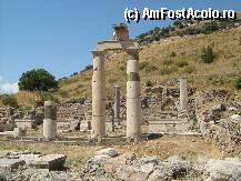 [P34] Ephes » foto by ioana22
 - 
<span class="allrVoted glyphicon glyphicon-heart hidden" id="av73624"></span>
<a class="m-l-10 hidden" id="sv73624" onclick="voting_Foto_DelVot(,73624,224)" role="button">șterge vot <span class="glyphicon glyphicon-remove"></span></a>
<a id="v973624" class=" c-red"  onclick="voting_Foto_SetVot(73624)" role="button"><span class="glyphicon glyphicon-heart-empty"></span> <b>LIKE</b> = Votează poza</a> <img class="hidden"  id="f73624W9" src="/imagini/loader.gif" border="0" /><span class="AjErrMes hidden" id="e73624ErM"></span>