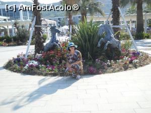 [P13]  :)  » foto by cris1971
 - 
<span class="allrVoted glyphicon glyphicon-heart hidden" id="av1028317"></span>
<a class="m-l-10 hidden" id="sv1028317" onclick="voting_Foto_DelVot(,1028317,226)" role="button">șterge vot <span class="glyphicon glyphicon-remove"></span></a>
<a id="v91028317" class=" c-red"  onclick="voting_Foto_SetVot(1028317)" role="button"><span class="glyphicon glyphicon-heart-empty"></span> <b>LIKE</b> = Votează poza</a> <img class="hidden"  id="f1028317W9" src="/imagini/loader.gif" border="0" /><span class="AjErrMes hidden" id="e1028317ErM"></span>