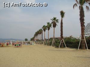 [P17]  -- <small>// FĂRĂ DESCRIERE</small> » foto by cris1971
 - 
<span class="allrVoted glyphicon glyphicon-heart hidden" id="av1028325"></span>
<a class="m-l-10 hidden" id="sv1028325" onclick="voting_Foto_DelVot(,1028325,226)" role="button">șterge vot <span class="glyphicon glyphicon-remove"></span></a>
<a id="v91028325" class=" c-red"  onclick="voting_Foto_SetVot(1028325)" role="button"><span class="glyphicon glyphicon-heart-empty"></span> <b>LIKE</b> = Votează poza</a> <img class="hidden"  id="f1028325W9" src="/imagini/loader.gif" border="0" /><span class="AjErrMes hidden" id="e1028325ErM"></span>