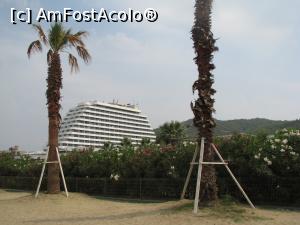 [P18]  -- <small>// FĂRĂ DESCRIERE</small> » foto by cris1971
 - 
<span class="allrVoted glyphicon glyphicon-heart hidden" id="av1028326"></span>
<a class="m-l-10 hidden" id="sv1028326" onclick="voting_Foto_DelVot(,1028326,226)" role="button">șterge vot <span class="glyphicon glyphicon-remove"></span></a>
<a id="v91028326" class=" c-red"  onclick="voting_Foto_SetVot(1028326)" role="button"><span class="glyphicon glyphicon-heart-empty"></span> <b>LIKE</b> = Votează poza</a> <img class="hidden"  id="f1028326W9" src="/imagini/loader.gif" border="0" /><span class="AjErrMes hidden" id="e1028326ErM"></span>