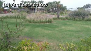 [P10] Gazonul ars pe alocuri » foto by reghinaflo
 - 
<span class="allrVoted glyphicon glyphicon-heart hidden" id="av1006741"></span>
<a class="m-l-10 hidden" id="sv1006741" onclick="voting_Foto_DelVot(,1006741,226)" role="button">șterge vot <span class="glyphicon glyphicon-remove"></span></a>
<a id="v91006741" class=" c-red"  onclick="voting_Foto_SetVot(1006741)" role="button"><span class="glyphicon glyphicon-heart-empty"></span> <b>LIKE</b> = Votează poza</a> <img class="hidden"  id="f1006741W9" src="/imagini/loader.gif" border="0" /><span class="AjErrMes hidden" id="e1006741ErM"></span>