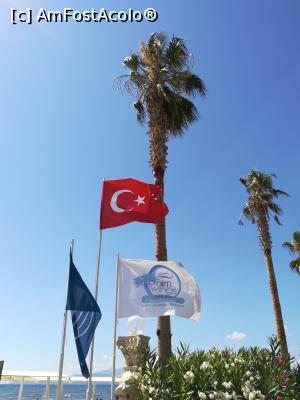 [P07]  -- <small>// FĂRĂ DESCRIERE</small> » foto by gmarius
 - 
<span class="allrVoted glyphicon glyphicon-heart hidden" id="av1027703"></span>
<a class="m-l-10 hidden" id="sv1027703" onclick="voting_Foto_DelVot(,1027703,226)" role="button">șterge vot <span class="glyphicon glyphicon-remove"></span></a>
<a id="v91027703" class=" c-red"  onclick="voting_Foto_SetVot(1027703)" role="button"><span class="glyphicon glyphicon-heart-empty"></span> <b>LIKE</b> = Votează poza</a> <img class="hidden"  id="f1027703W9" src="/imagini/loader.gif" border="0" /><span class="AjErrMes hidden" id="e1027703ErM"></span>