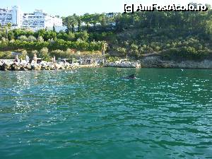 [P27] Inot cu delfin monitorizat GPS in fata hotelului Ephesus princess » foto by mango2000
 - 
<span class="allrVoted glyphicon glyphicon-heart hidden" id="av361775"></span>
<a class="m-l-10 hidden" id="sv361775" onclick="voting_Foto_DelVot(,361775,226)" role="button">șterge vot <span class="glyphicon glyphicon-remove"></span></a>
<a id="v9361775" class=" c-red"  onclick="voting_Foto_SetVot(361775)" role="button"><span class="glyphicon glyphicon-heart-empty"></span> <b>LIKE</b> = Votează poza</a> <img class="hidden"  id="f361775W9" src="/imagini/loader.gif" border="0" /><span class="AjErrMes hidden" id="e361775ErM"></span>