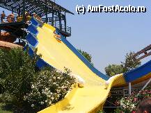 [P05] Adaland - una dintre 'nebunii' » foto by pavellaurentiu
 - 
<span class="allrVoted glyphicon glyphicon-heart hidden" id="av10586"></span>
<a class="m-l-10 hidden" id="sv10586" onclick="voting_Foto_DelVot(,10586,226)" role="button">șterge vot <span class="glyphicon glyphicon-remove"></span></a>
<a id="v910586" class=" c-red"  onclick="voting_Foto_SetVot(10586)" role="button"><span class="glyphicon glyphicon-heart-empty"></span> <b>LIKE</b> = Votează poza</a> <img class="hidden"  id="f10586W9" src="/imagini/loader.gif" border="0" /><span class="AjErrMes hidden" id="e10586ErM"></span>