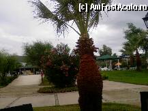 [P14] pe alei » foto by emycor
 - 
<span class="allrVoted glyphicon glyphicon-heart hidden" id="av12577"></span>
<a class="m-l-10 hidden" id="sv12577" onclick="voting_Foto_DelVot(,12577,226)" role="button">șterge vot <span class="glyphicon glyphicon-remove"></span></a>
<a id="v912577" class=" c-red"  onclick="voting_Foto_SetVot(12577)" role="button"><span class="glyphicon glyphicon-heart-empty"></span> <b>LIKE</b> = Votează poza</a> <img class="hidden"  id="f12577W9" src="/imagini/loader.gif" border="0" /><span class="AjErrMes hidden" id="e12577ErM"></span>